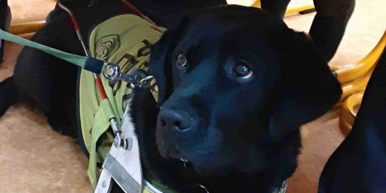 Doktor Kelly ZŠ Jarošova