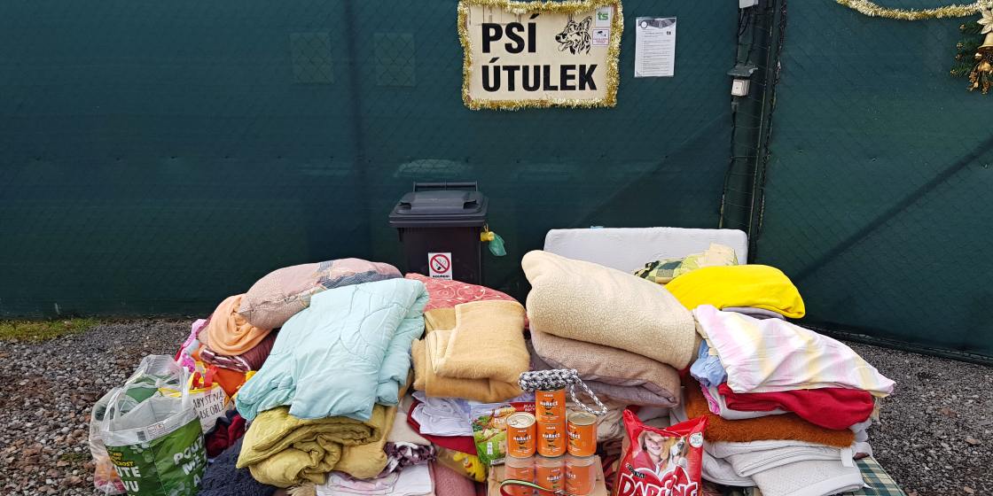 Sbírka pro psí útulek v Karviné ZŠ Jarošova