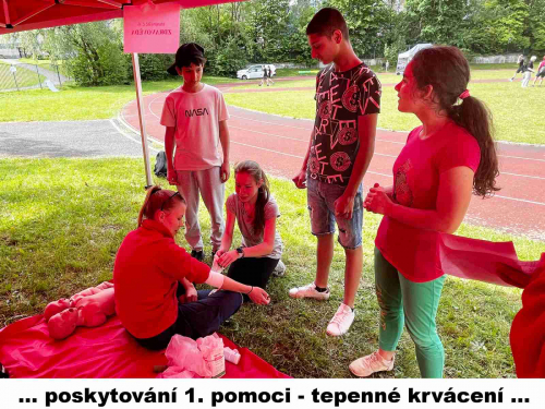 Branná soutěž WOLFRAM - POKOS 09