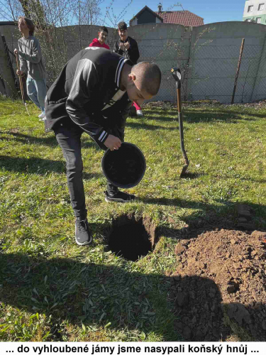 Den Země oslavili deváťáci zasazením ovocného stromu 04
