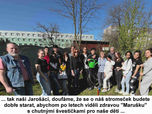 Den Země oslavili deváťáci zasazením ovocného stromu 12
