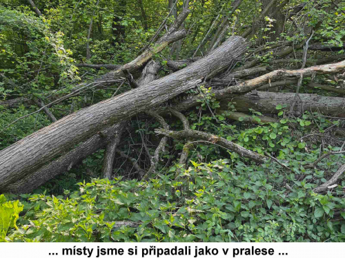 Deváťáci se zúčastnili akce Ukliďme Česko 10