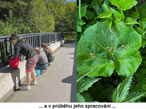 Deváťáci se zúčastnili akce Ukliďme Česko 14