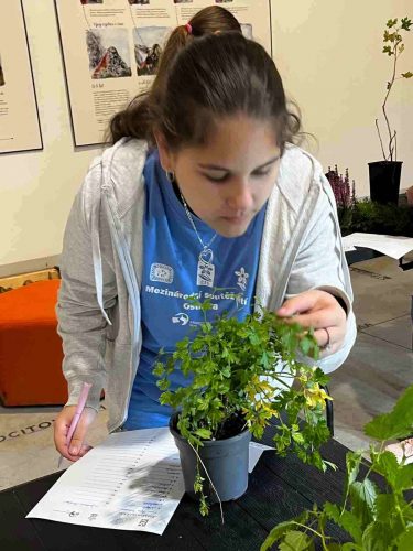 Mezinárodní soutěž dětí v zahradnických dovednostech 2025 14