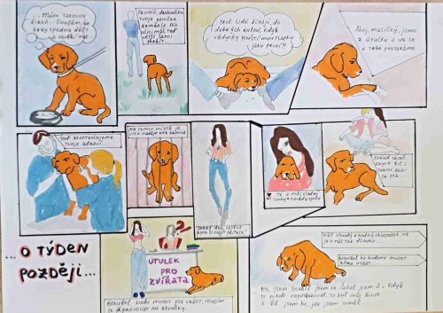 Respekt k přírodě 02