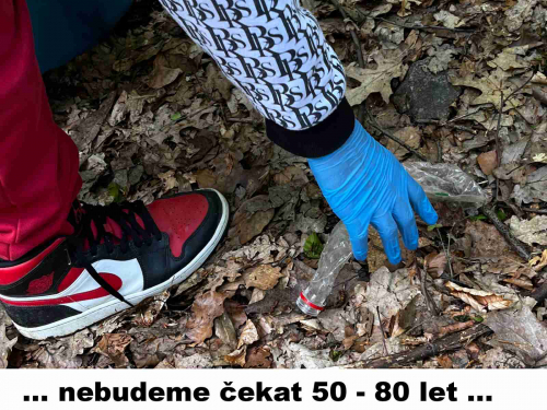 Ukliďme les 2024 03