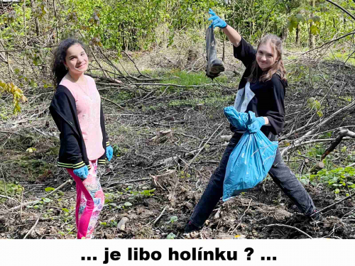 Ukliďme les 2024 04