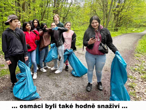 Ukliďme les 2024 08