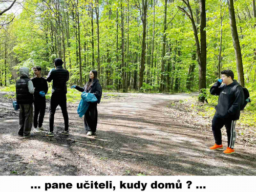 Ukliďme les 2024 09